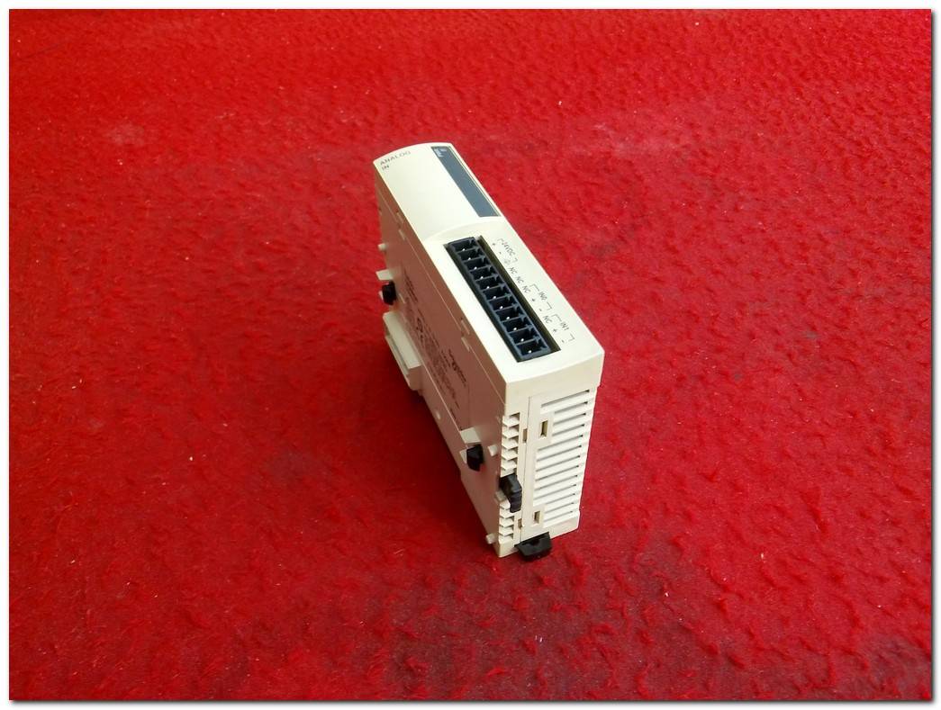 SCHNEİDER TWDAMI2HT TWİDO TWDAM12HT ANALOG INPUT MODULE GİRİŞ MODÜLÜ