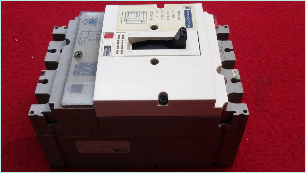 TELEMECANİQUE GV7-RE100 100A TMŞ