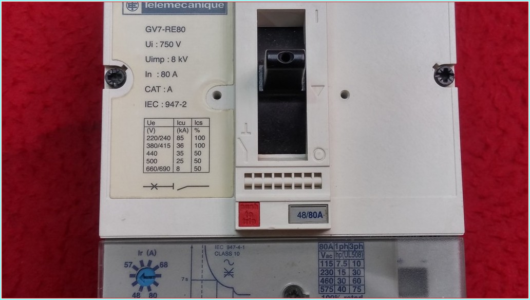 TELEMECANİQUE GV7-RE80 80A TMŞ