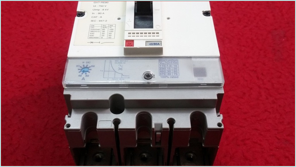 TELEMECANİQUE GV7-RE80 80A TMŞ