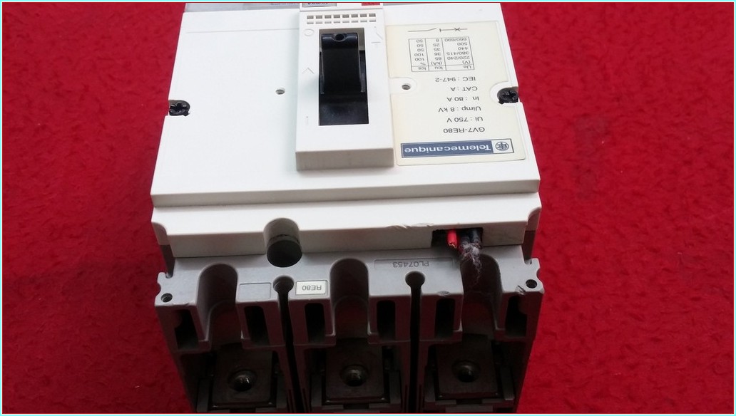 TELEMECANİQUE GV7-RE80 80A TMŞ
