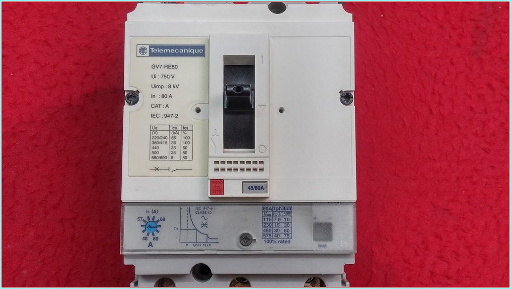 TELEMECANİQUE GV7-RE80 80A TMŞ