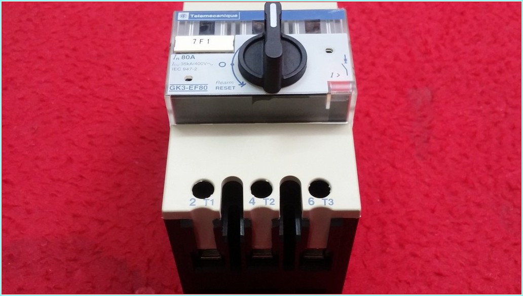 TELEMECANİQUE GK3-EF80 80A ŞARTEL TİPİ MOTOR KORUMA