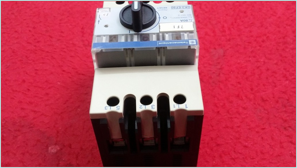 TELEMECANİQUE GK3-EF80 80A ŞARTEL TİPİ MOTOR KORUMA
