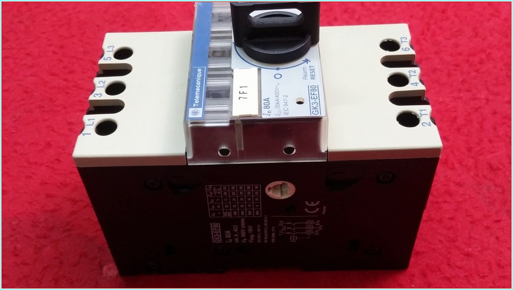 TELEMECANİQUE GK3-EF80 80A ŞARTEL TİPİ MOTOR KORUMA