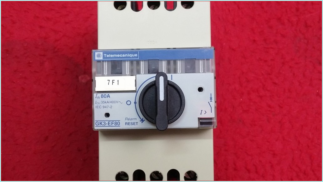 TELEMECANİQUE GK3-EF80 80A ŞARTEL TİPİ MOTOR KORUMA