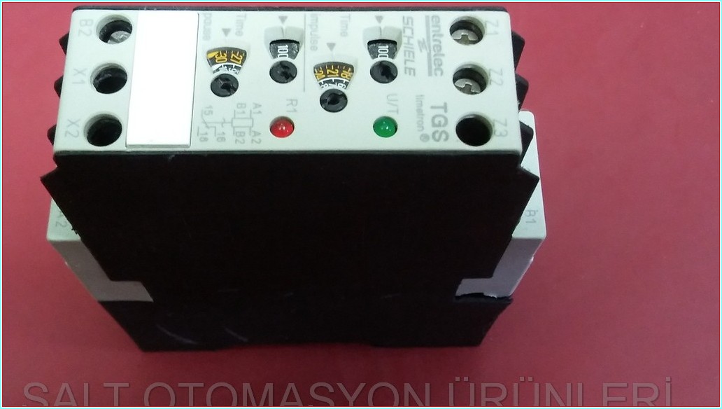 SCHIELE ENTRELEC TGS TİMETRON TWO-STAGE CYCLER 0,05-05 S AKILLI RÖLE