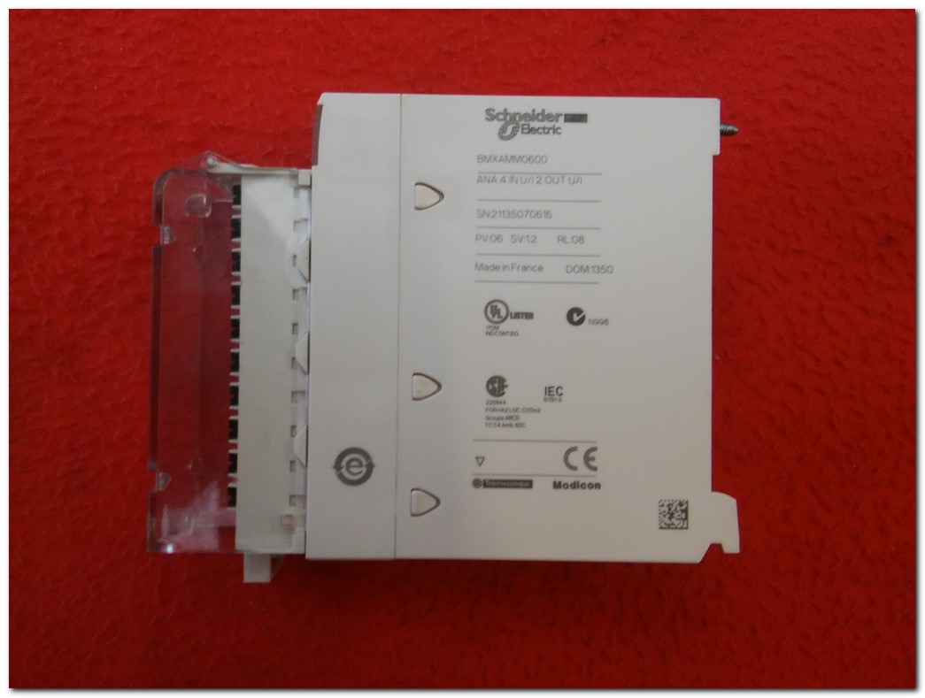 SCHNEİDER BMXAMM0600 4 GİRİŞ 2 ÇIKIŞ ANALOG MODÜL