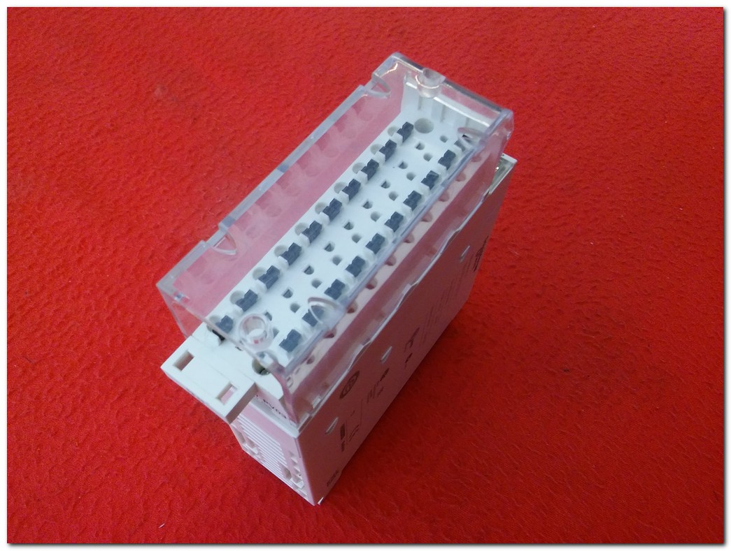 SCHNEİDER BMXAMM0600 4 GİRİŞ 2 ÇIKIŞ ANALOG MODÜL