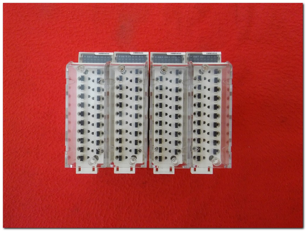 SCHNEİDER BMXAMM0600 4 GİRİŞ 2 ÇIKIŞ ANALOG MODÜL