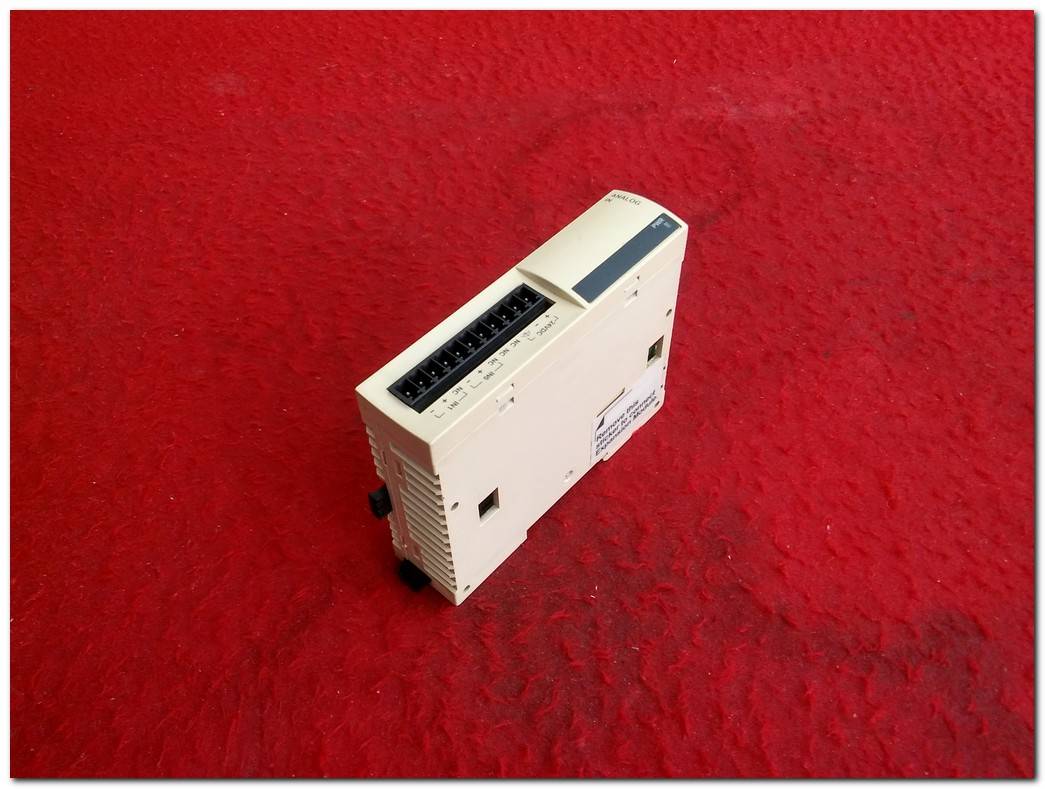 SCHNEİDER TWDAMI2HT TWİDO TWDAM12HT ANALOG INPUT MODULE GİRİŞ MODÜLÜ